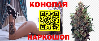 дмт Севастополь