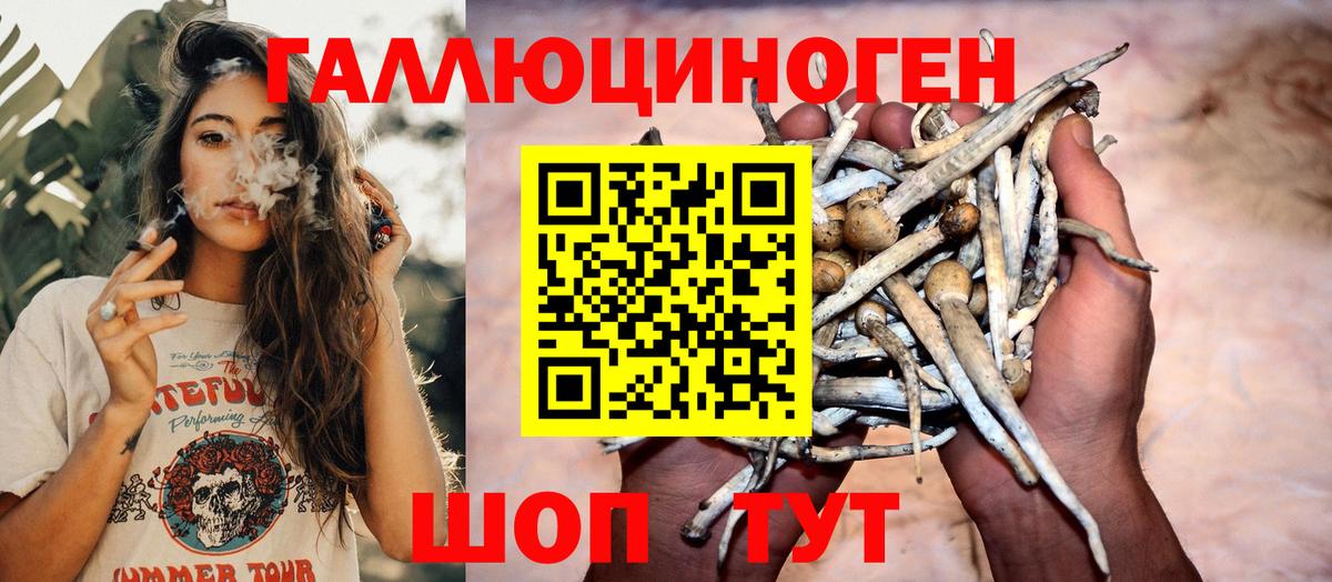 Псилоцибиновые грибы мухоморы Биробиджан